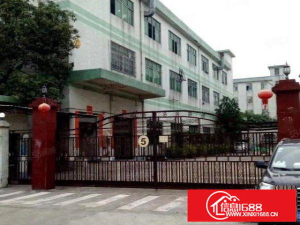 松岗大田洋新出1楼1000平2楼1000平可分租