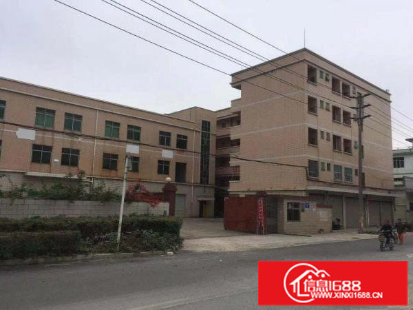 现房！！！坪山碧岭红本工业厂房5670平招租（可分租）