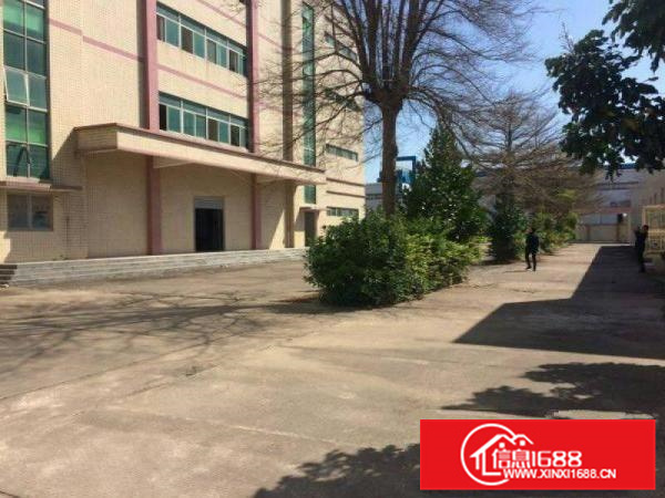 大亚湾西区新出花园式原房东独院红本厂房院子超大