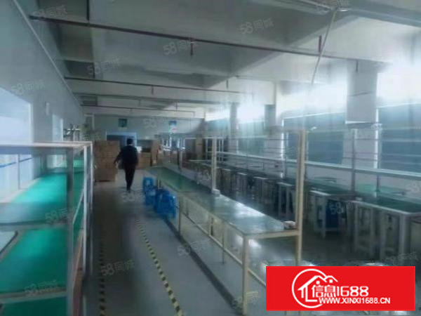 横沥价格13一平方起独栋出租