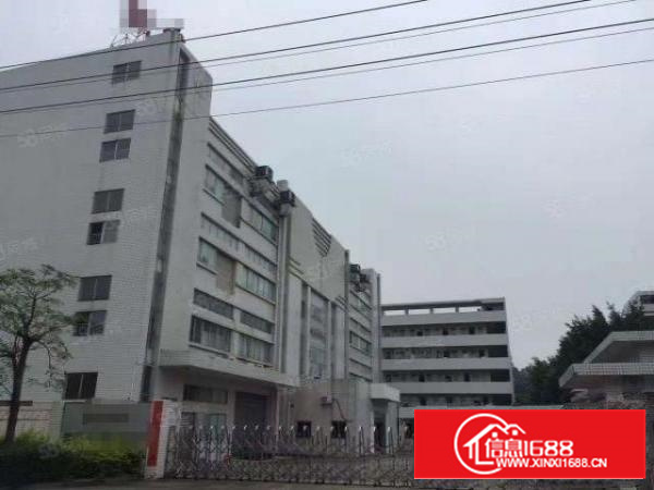 石排物美价廉独院厂房出租厂房18000宿舍3000