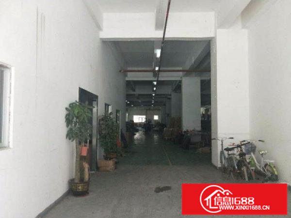 布吉布吉关谢岗1000平方米独院一楼厂房招租