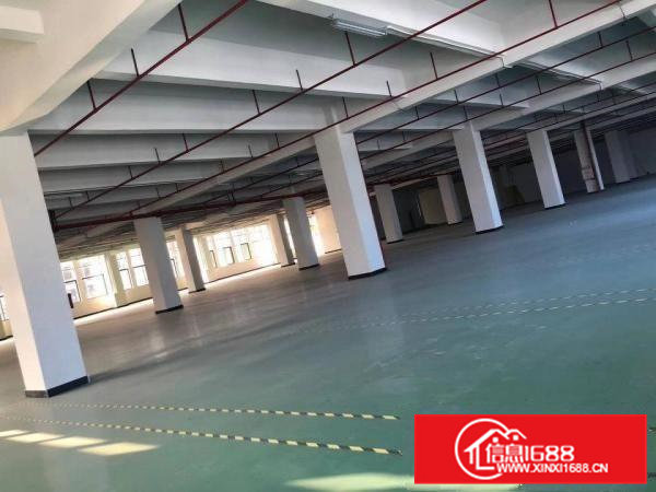 企石原房东独院厂房3000平方