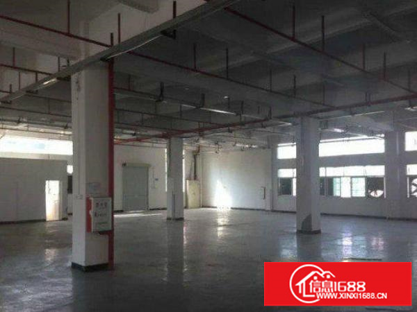 龙岗龙城工业区楼上分租二楼1000平方