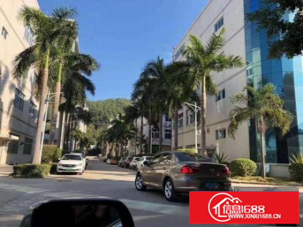 布吉上李朗新楼上带精装修1200平厂房出租，形象非常好可分租