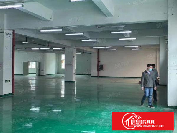 塘厦镇中心标准楼上1480平方！办公室精装修！形象靓丽