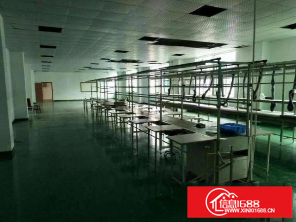 龙岗同乐吓坑新出厂房3楼1200平送精装修招租