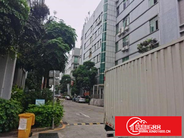 坂田南坑工业区厂房出租2万平方100平方起租仓库招租合租