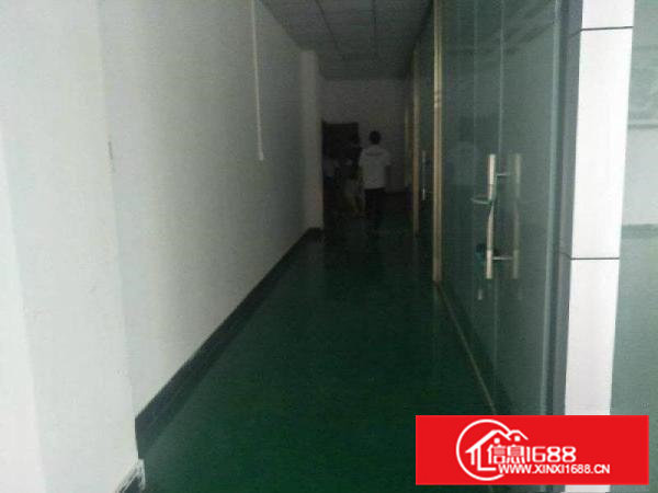 陈村原房东厂房1000平米，无公摊