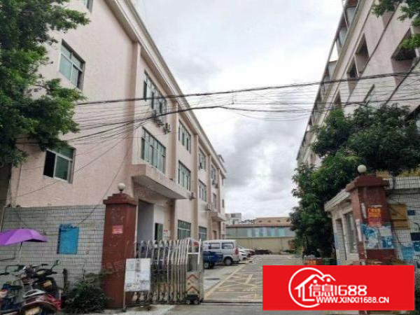 松岗朗下第三工业区新出带行车独栋1400平方可分租