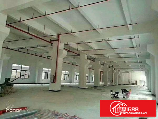 坪地银台和美工业区新出一楼厂房1850平可分租