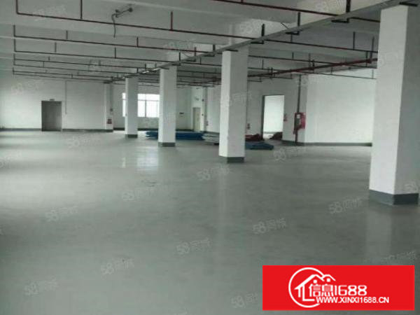 公明高速出口红本厂房出租300.500.1000平方.15元