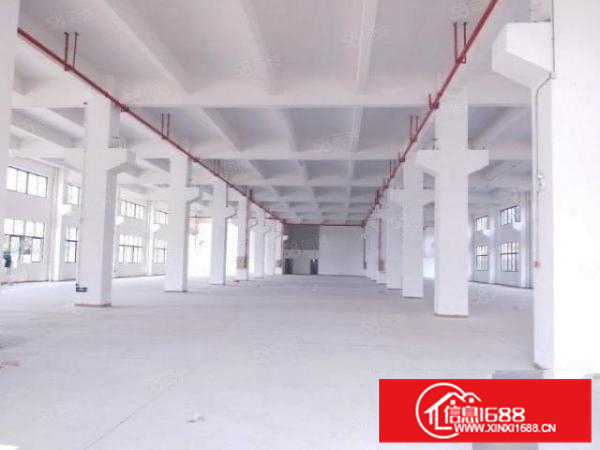 均安镇12500平方独院14层厂房产业保护区带红本可分租