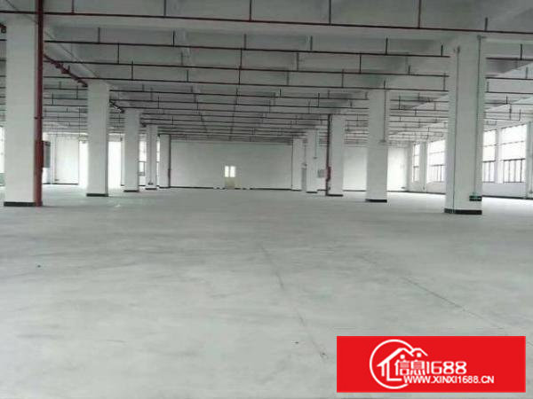 东莞大岭山独门独院精装修厂房出租面积120000平米可分租