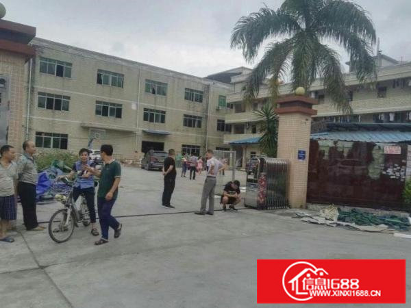 坪山新区石井独院厂房招租5300平米