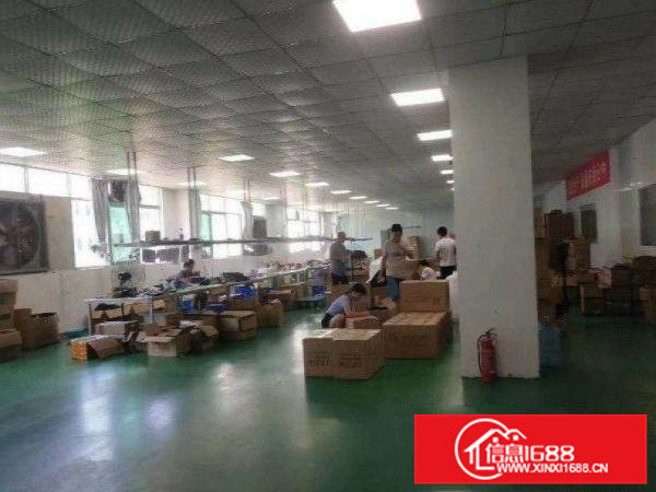 出租虎门镇树田现成装修二楼2000平标准厂房工业用地