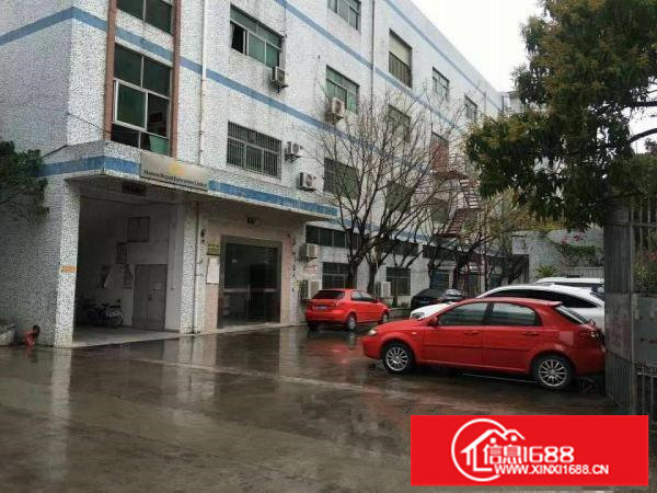 龙岗精装修960平带前台办公室厂房出租