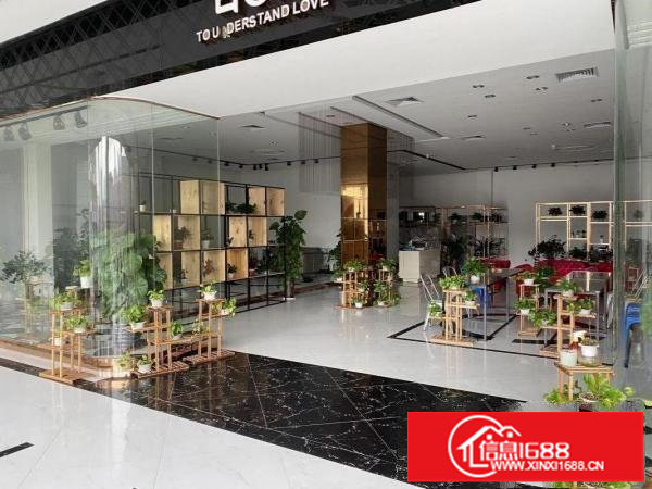 横岗塘坑地铁站边500米新出一楼现成装修展厅办公室400平