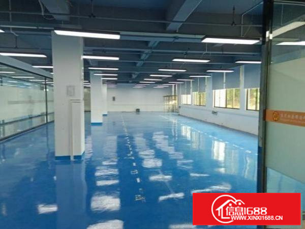 常平新出1000平方厂房出租，全新地坪漆现成水电