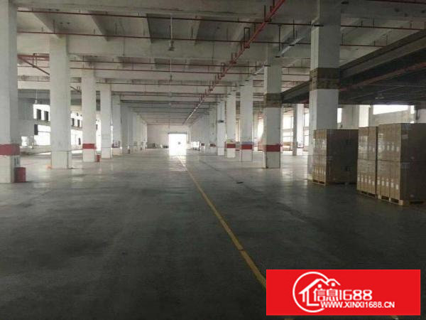 坪山区大工业区新出8米一楼1750平出租（可分租）