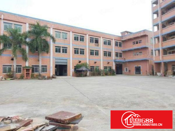 横沥新出原房东独门独院标准厂房