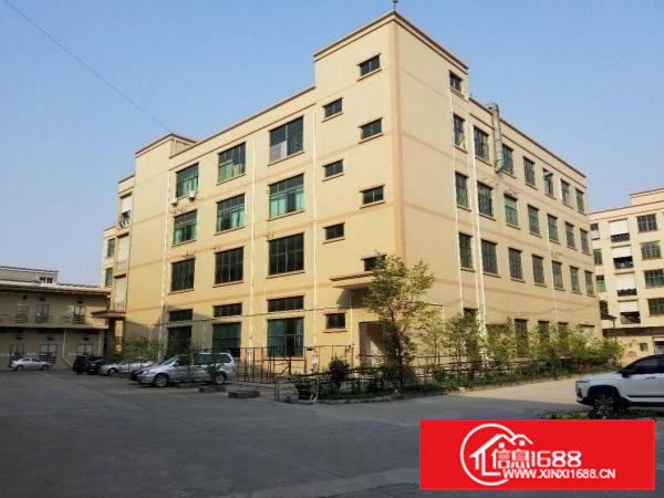 原房东出租6米高标准一楼带现成办公室装修1500平方