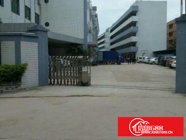 万江工业区标准一楼3000平方招租水电齐全