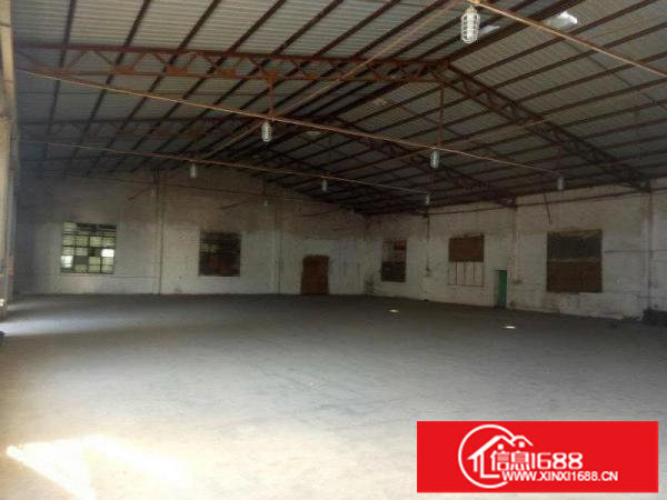 龙岗坪地新出2600平独院钢构厂房滴水高6米