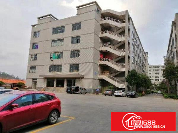 龙岗原房东厂房出租3楼2500平实际面积可分租有装修地坪漆