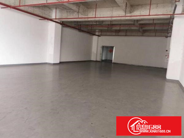 低价标准800—5000厂房