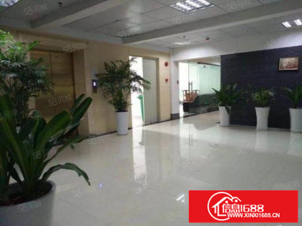 大浪石观工业区一楼230平