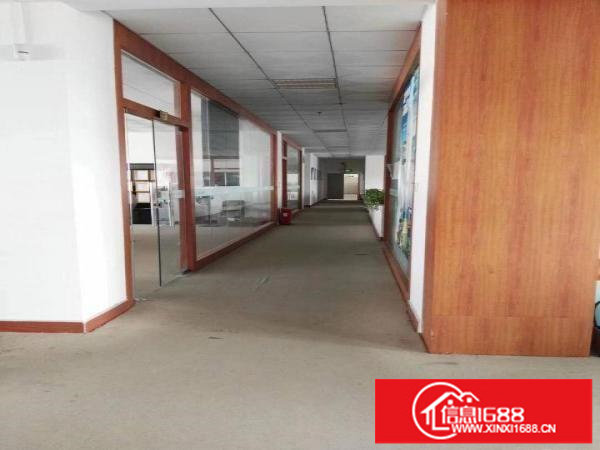 龙岗宝龙工业城豪华装修厂房3300出租