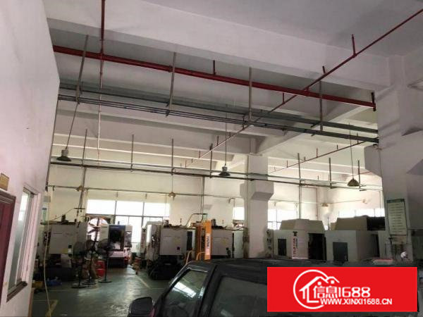 凤岗官井头嘉辉对面一楼标准厂房出租高6米带牛角