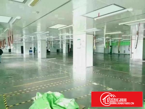 长安新出形象独院18800平