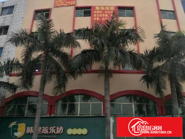 虎门大宁写字楼商务综合楼出租一般纳税人独立地址可注册可变更