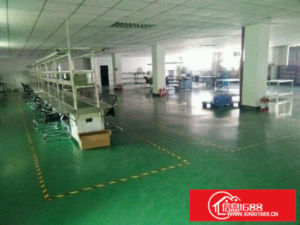 仅1无2原房东独门独院出租