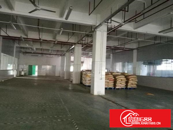 华南城新出独院厂房12000平米，500平米起租