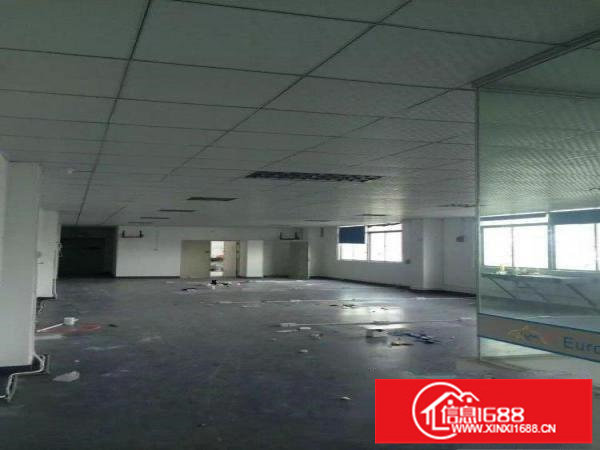 坂田地铁口带装修200平300平500平1000平