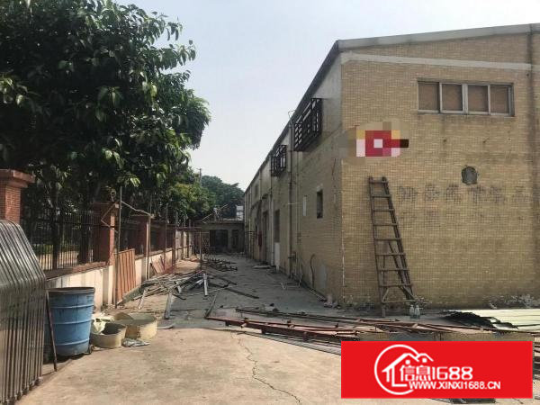 东莞桥头新出独门独院钢构单一层厂房2000平方出租可做污染