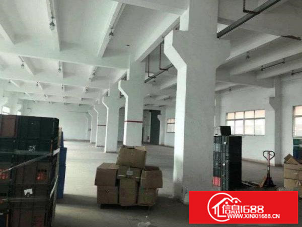 观澜福民新出一楼1000平面积实在原房东