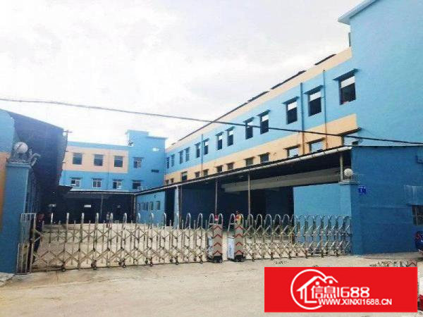 坪地坪西新出三楼带电梯500平起租（送装修招租）