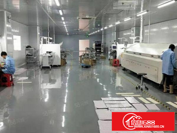 东坑镇彭屋村标准楼上1200平方，办公室精装修，形象靓丽