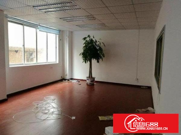 龙岗中心城龙西务地铺新出楼上650平带装修厂房出租