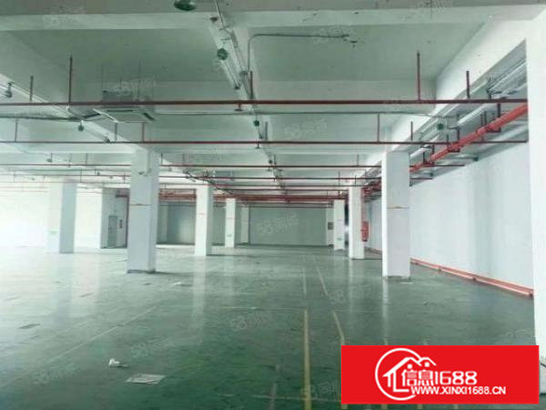 红本独院6600平方厂房出租一手房东直租大小分租