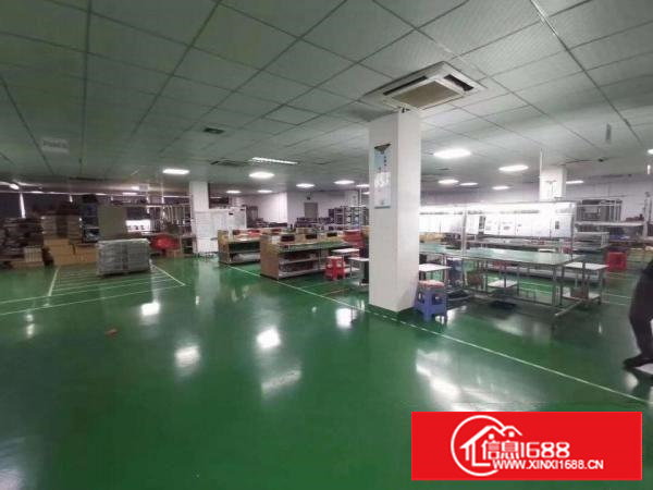 塘厦林村新出原房东独院4700平招租！楼上现成精装修！月底空