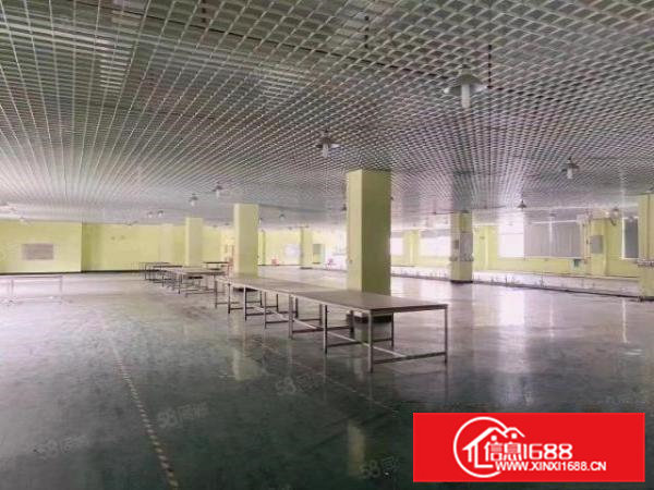 寮步镇原房东出租厂房现成装修水电齐全形象漂亮价格便宜可办环坪