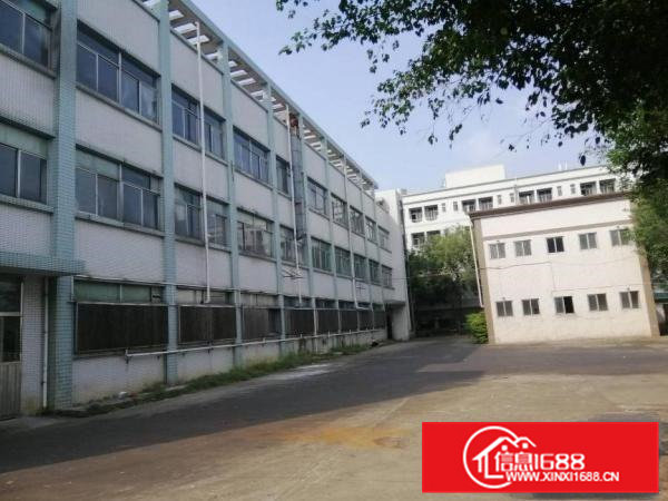 桥头镇石水口工业区内原房东标准厂房，可分租，工业用地可办环评