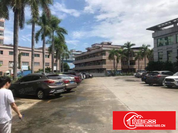 金凤凰新出楼上2000平方厂房出租空地大