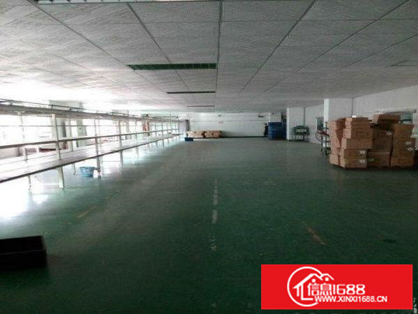 坂田利金城科技园新出3楼2300平一整层带装修出租