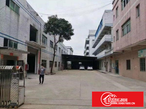 四村一楼2080平厂房出租豪华装修超大停车场